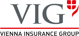 VIG Services